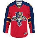Panthers Home Jersey