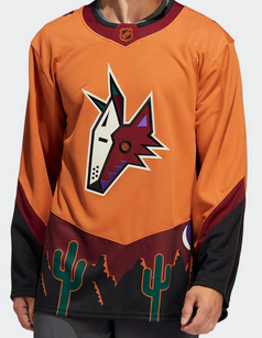 My collection: Reverse Retro jersey #2 - Arizona Coyotes : r